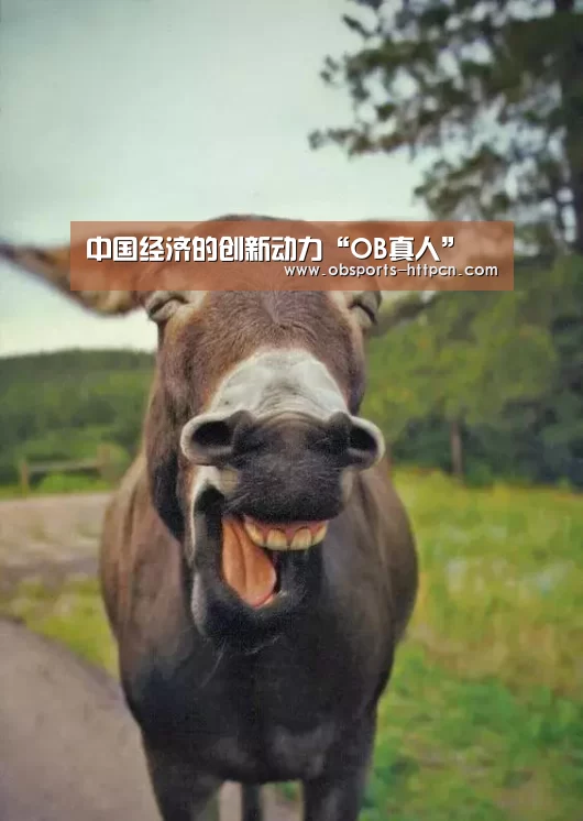 中国经济的创新动力“OB真人”(图3) OB棋牌